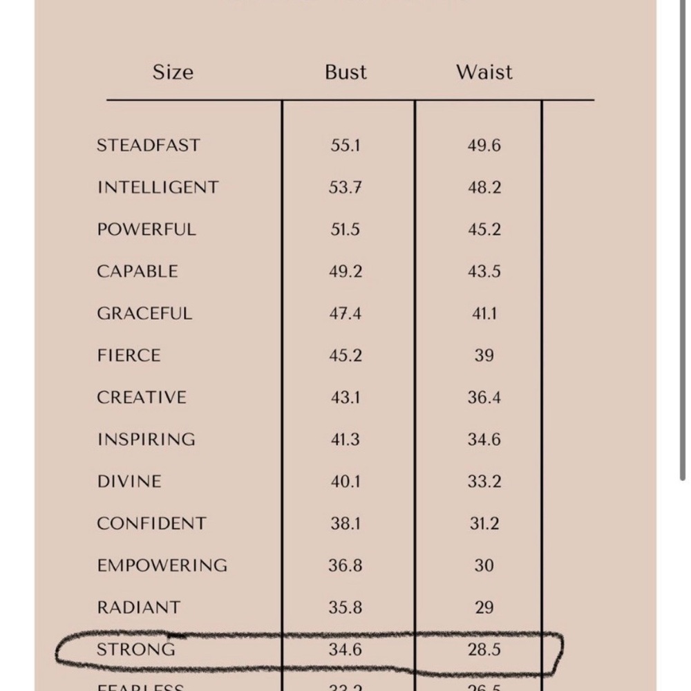 Regency Style Dress/Bridgerton Gown (Ava Gowns- Daphne) - Picture 9 of 10